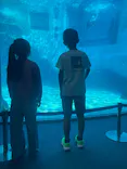 名古屋港水族館に投稿された画像（2026/5/7）