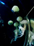 名古屋港水族館に投稿された画像（2026/5/7）