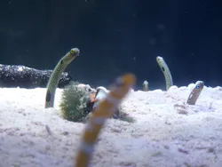 名古屋港水族館に投稿された画像（2026/5/7）