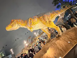 福井県立恐竜博物館に投稿された画像（2026/5/7）