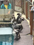 伊豆・三津シーパラダイスに投稿された画像（2026/5/7）