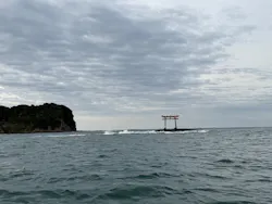 SeafariJapanに投稿された画像（2026/5/7）