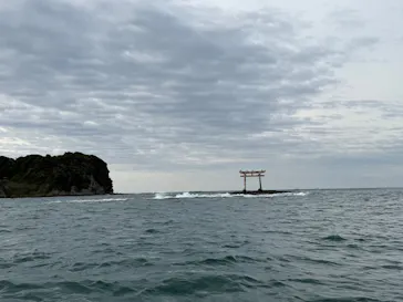 SeafariJapanに投稿された画像（2026/5/7）
