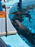 マリンワールド海の中道に投稿された画像（2026/5/7）