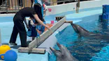 マリンワールド海の中道に投稿された画像（2026/5/7）