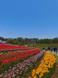 牧歌の里に投稿された画像（2026/5/7）