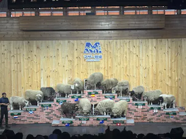 マザー牧場に投稿された画像（2026/5/7）