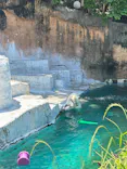 天王寺動物園に投稿された画像（2026/5/7）