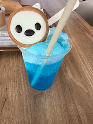 アクアワールド茨城県大洗水族館に投稿された画像（2026/5/7）