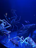 サンシャイン水族館に投稿された画像（2026/5/7）