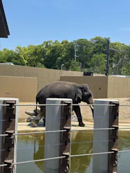 天王寺動物園に投稿された画像（2026/5/7）