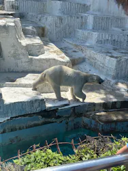 天王寺動物園に投稿された画像（2026/5/7）