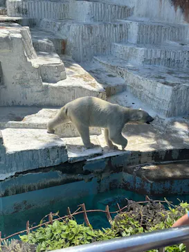 天王寺動物園に投稿された画像（2026/5/7）