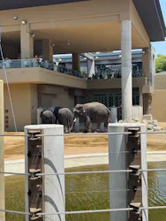 天王寺動物園に投稿された画像（2026/5/7）