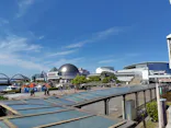 名古屋港水族館に投稿された画像（2026/5/7）