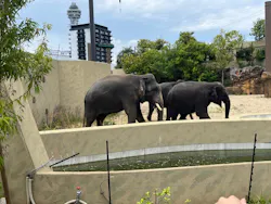 天王寺動物園に投稿された画像（2026/5/7）