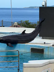 沖縄美ら海水族館に投稿された画像（2026/5/7）