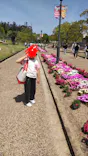 淡路ファームパーク イングランドの丘に投稿された画像（2026/5/7）