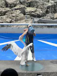 大分マリーンパレス水族館 「うみたまご」に投稿された画像（2026/5/7）