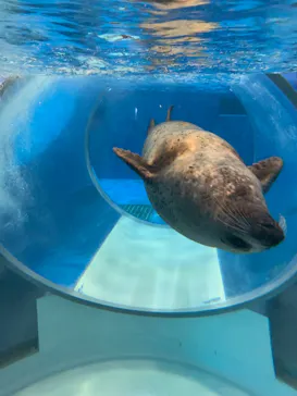 のとじま水族館に投稿された画像（2026/5/7）