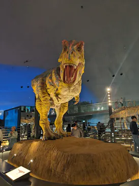 福井県立恐竜博物館に投稿された画像（2026/5/7）