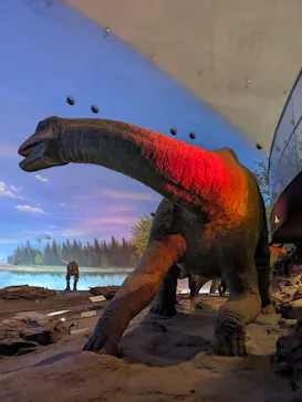 福井県立恐竜博物館に投稿された画像（2026/5/7）