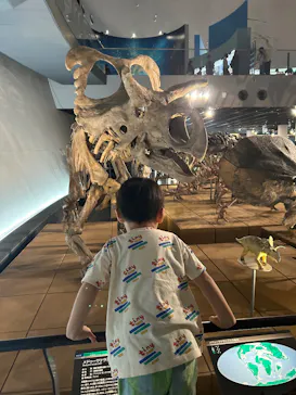 福井県立恐竜博物館に投稿された画像（2026/5/7）