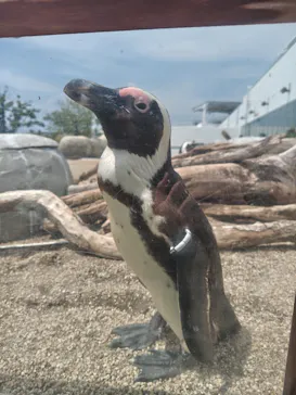 仙台うみの杜水族館に投稿された画像（2026/5/7）