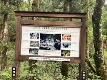 Yamakara屋久島に投稿された画像（2026/5/7）