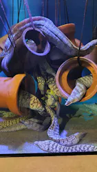 竹島水族館に投稿された画像（2026/5/7）