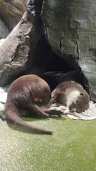 竹島水族館に投稿された画像（2026/5/7）