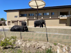 天王寺動物園に投稿された画像（2026/5/7）