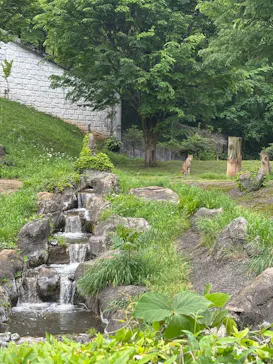 多摩動物公園に投稿された画像（2026/5/7）