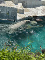 天王寺動物園に投稿された画像（2026/5/7）