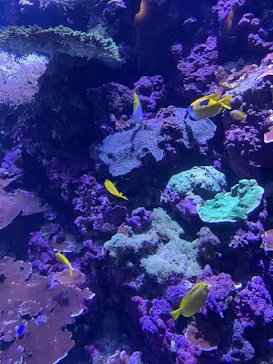 大分マリーンパレス水族館 「うみたまご」に投稿された画像（2026/5/7）