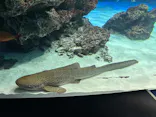 サンシャイン水族館に投稿された画像（2026/5/7）