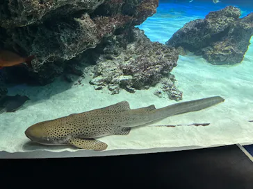 サンシャイン水族館に投稿された画像（2026/5/7）