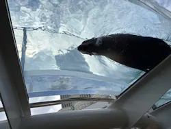 サンシャイン水族館に投稿された画像（2026/5/7）