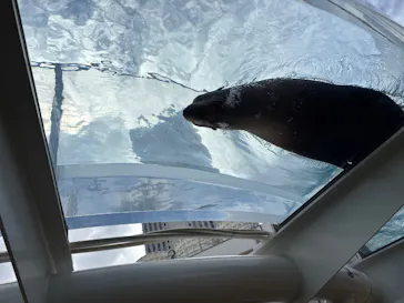 サンシャイン水族館に投稿された画像（2026/5/7）