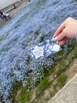 こうべアグリパークネモフィラの丘に投稿された画像（2026/5/7）