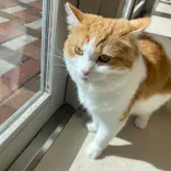 Cat Café MOFF イオンモールナゴヤドーム前店に投稿された画像（2026/5/7）