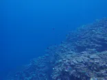 ラクーアマリンクラブに投稿された画像（2026/5/7）