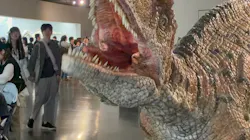 福井県立恐竜博物館に投稿された画像（2026/5/7）