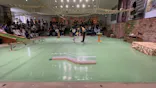 那須どうぶつ王国に投稿された画像（2026/5/7）