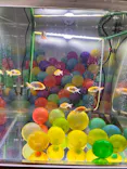 西武園ゆうえんちに投稿された画像（2026/5/7）