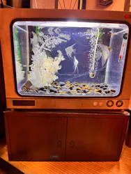 西武園ゆうえんちに投稿された画像（2026/5/7）