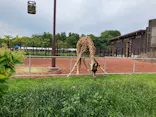 こども動物自然公園（埼玉県公園緑地協会）に投稿された画像（2026/5/7）