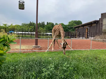 こども動物自然公園（埼玉県公園緑地協会）に投稿された画像（2026/5/7）