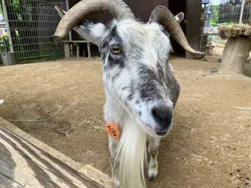 こども動物自然公園（埼玉県公園緑地協会）に投稿された画像（2026/5/7）