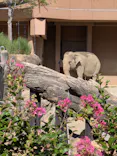 名古屋市東山動植物園に投稿された画像（2026/5/7）